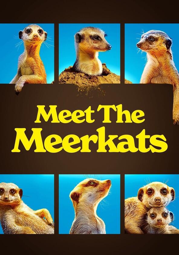 Meet the Meerkats - Season 1