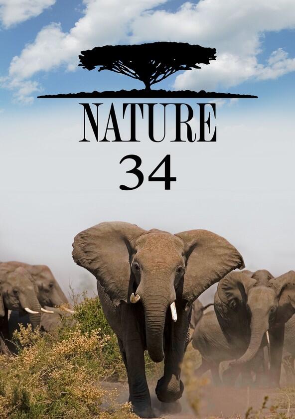 Nature - Season 34