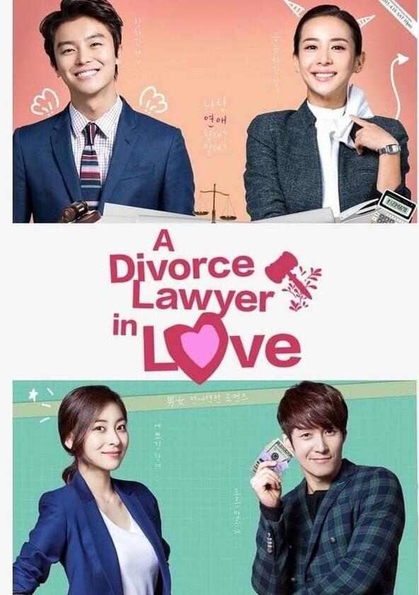 A Divorce Lawyer in Love - Season 1