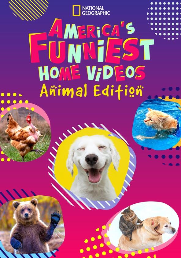 America's Funniest Home Videos: Animal Edition - Season 1