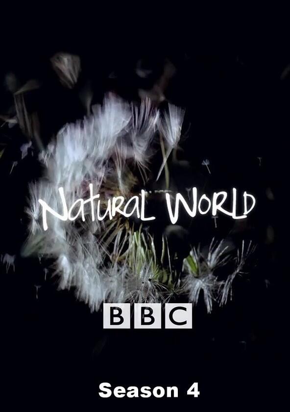 Natural World - Season 4