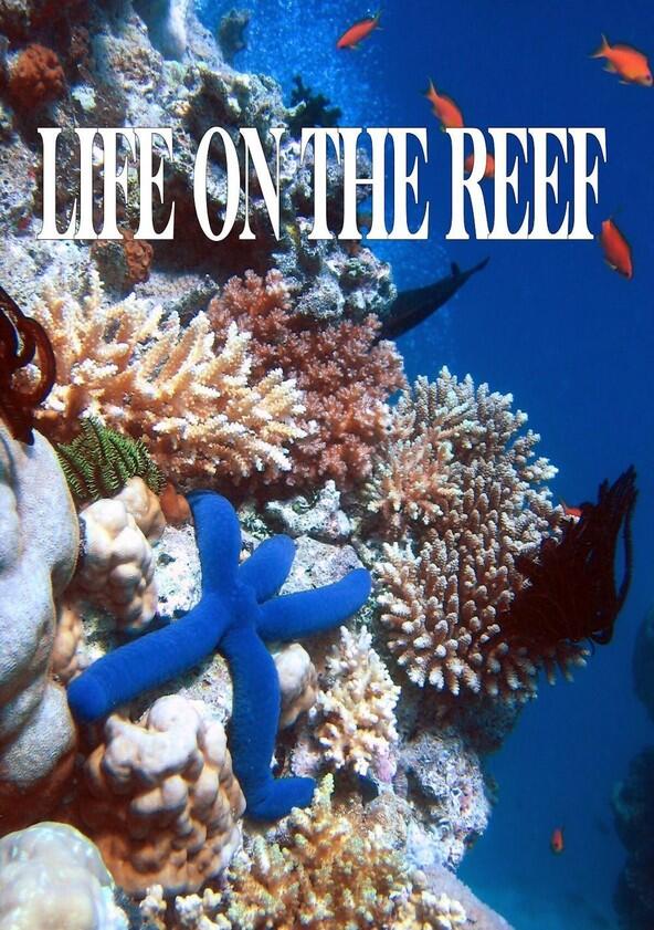 Life on the Reef - Season 1