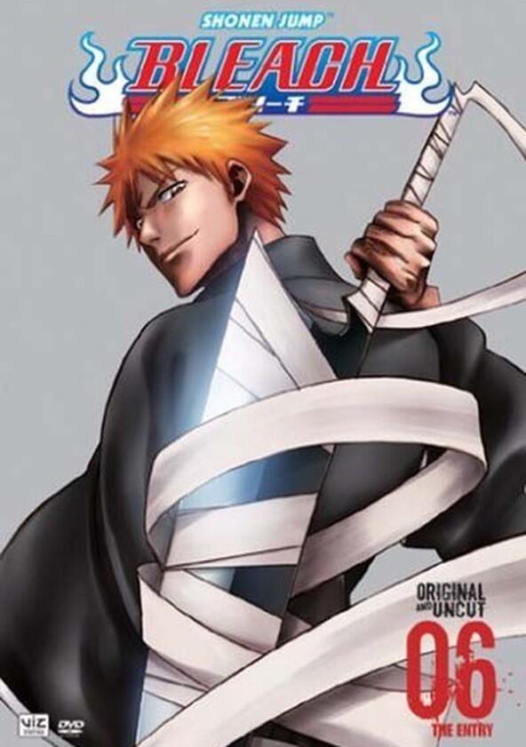 Bleach - Season 6