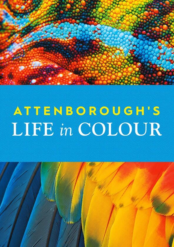 Attenborough's Life in Colour - Season 1