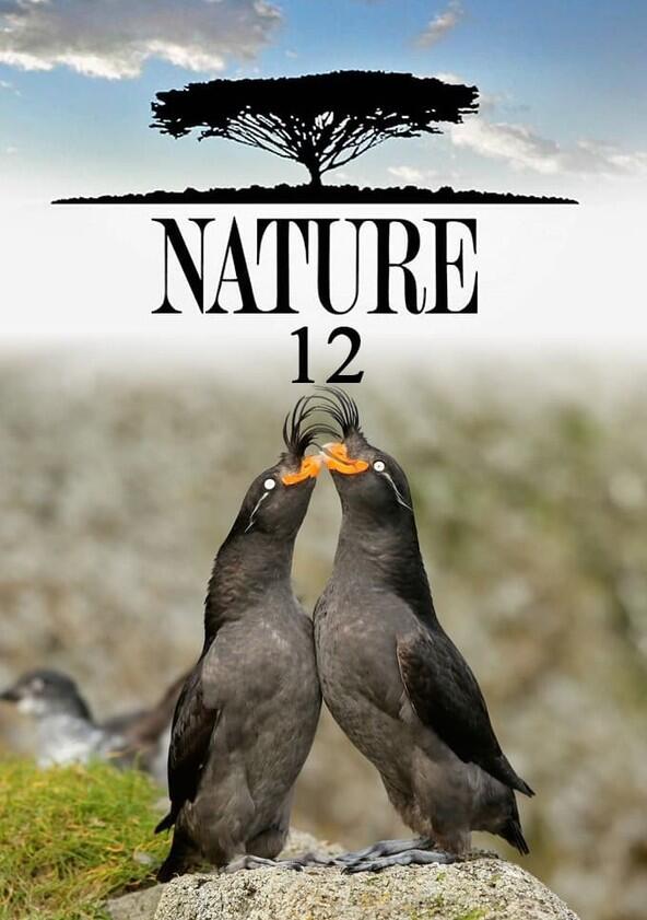 Nature - Season 12