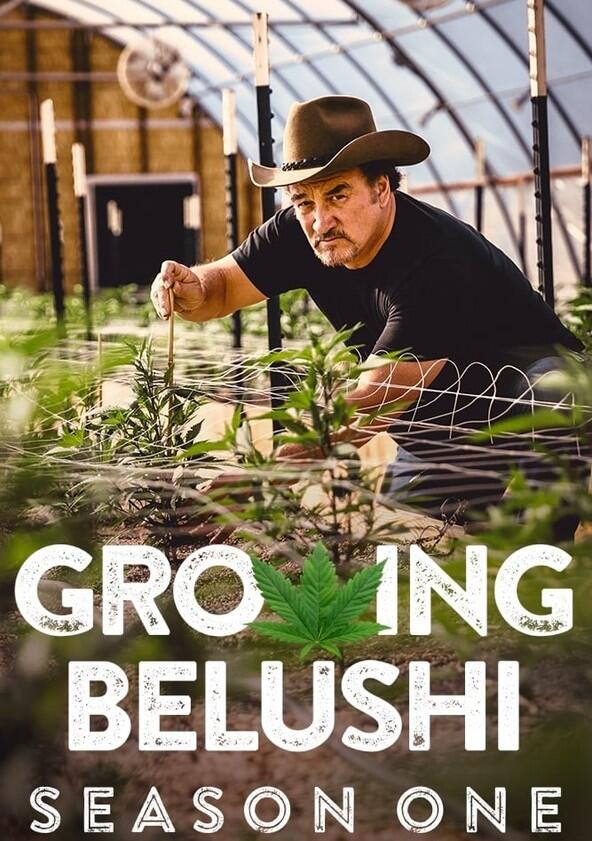 Growing Belushi - Season 1