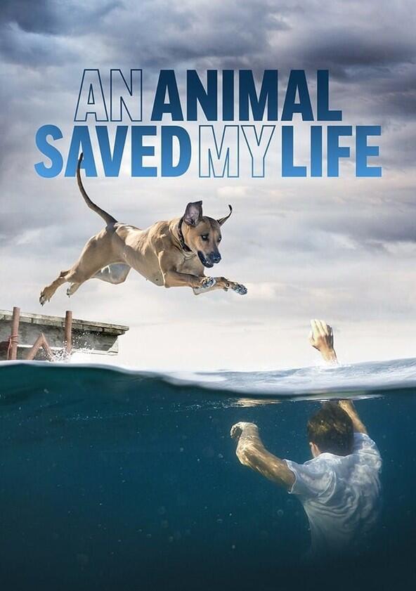 An Animal Saved My Life - Season 1