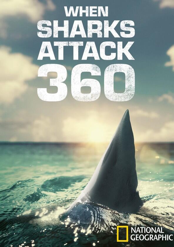 When Sharks Attack 360 - Season 1