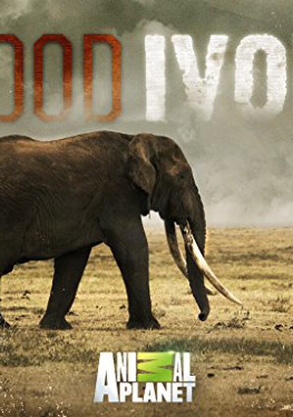 Blood Ivory - Season 1