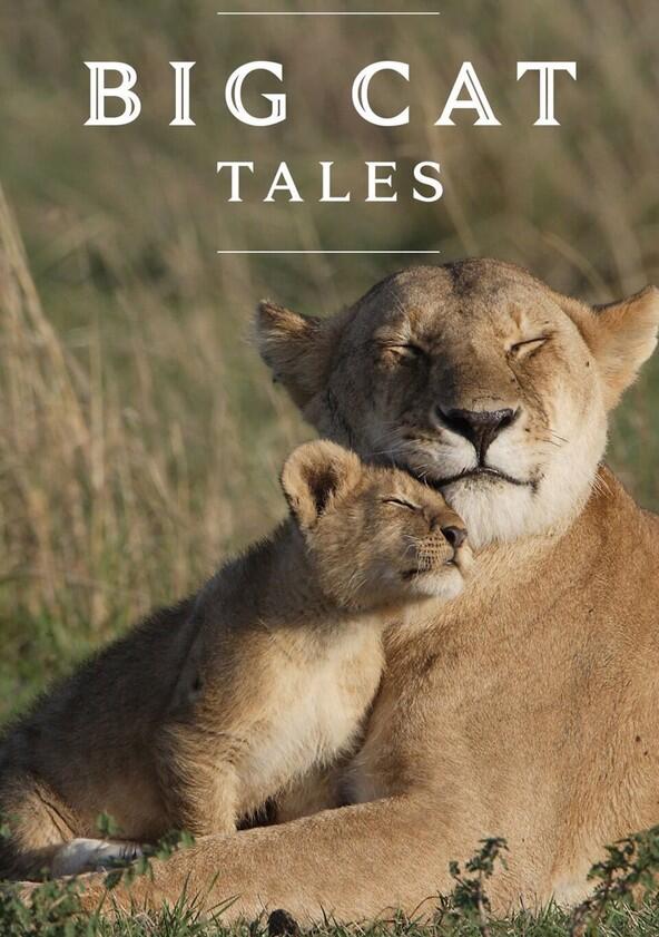 Big Cat Tales - Season 2