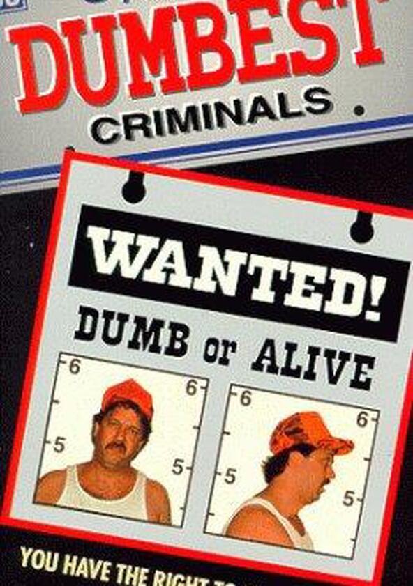 America's Dumbest Criminals - Season 4