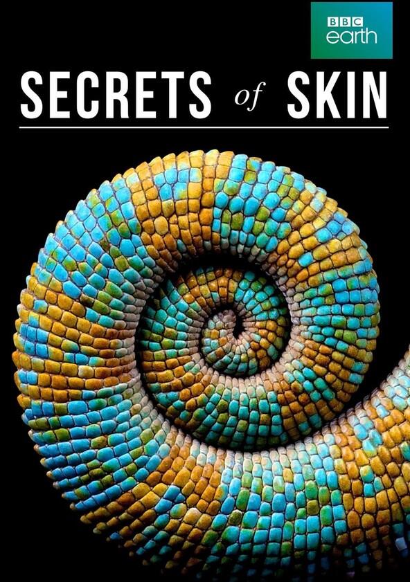 Secrets of Skin - Season 1