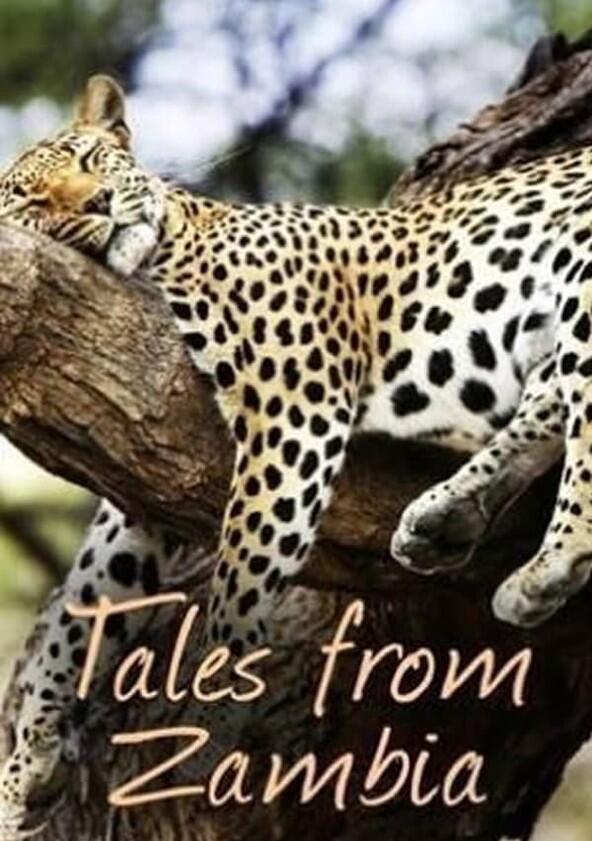 Tales from Zambia - Season 1