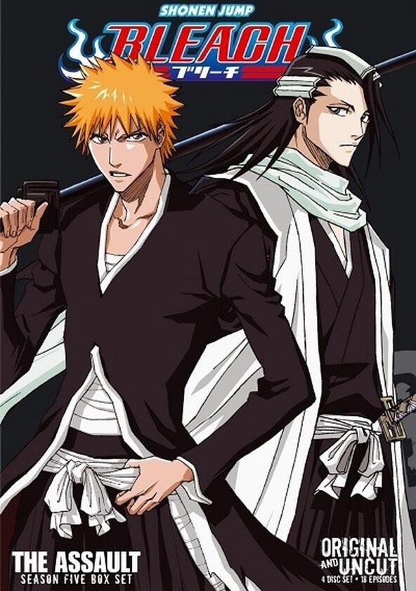 Bleach - Season 5