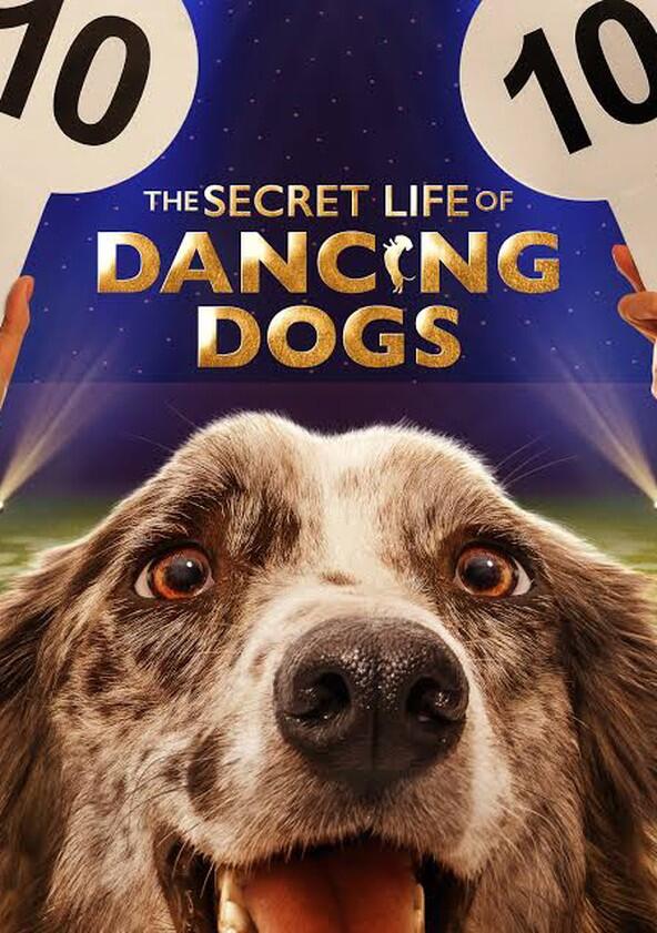 The Secret Life of Dancing Dogs - Season 1