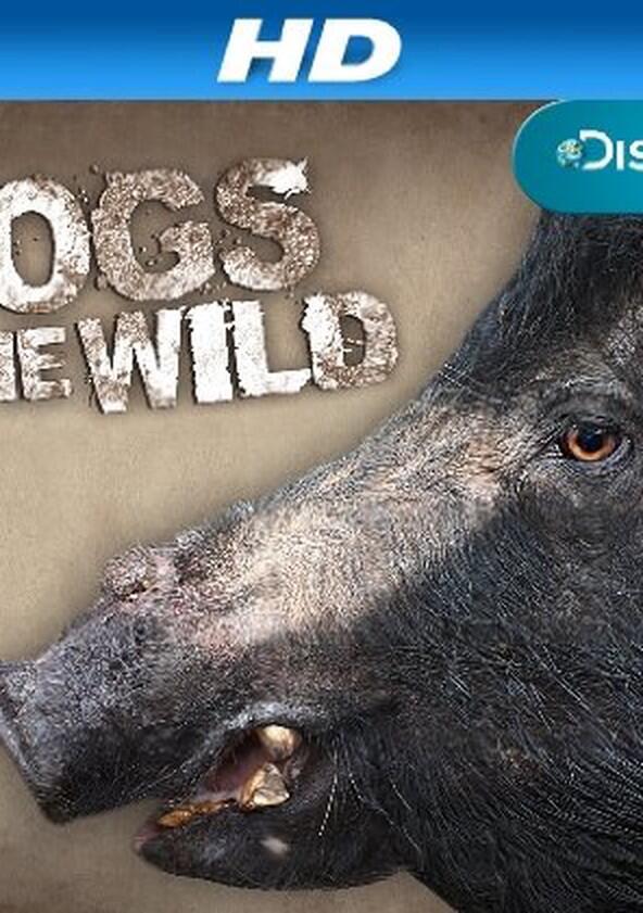 Hogs Gone Wild - Season 1