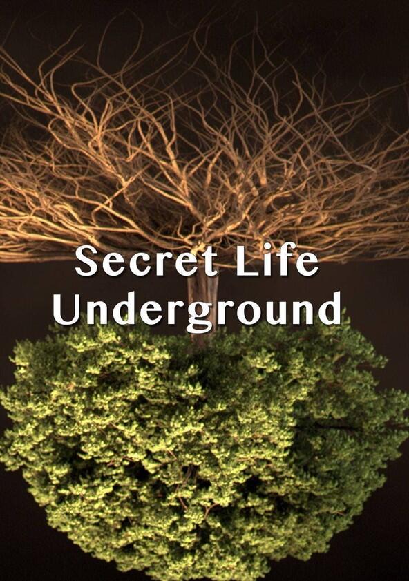 Secret Life Underground - Season 1