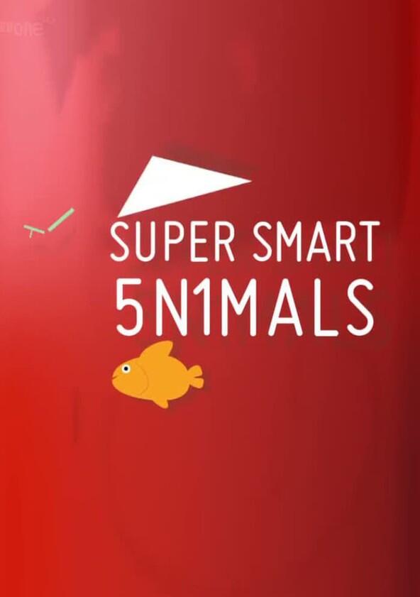 Super Smart Animals - Season 1