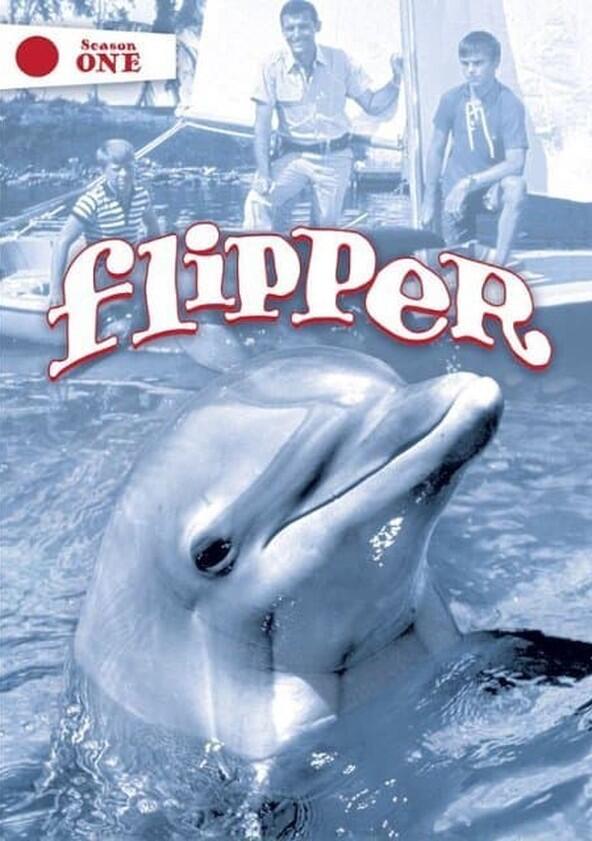 Flipper - Season 1