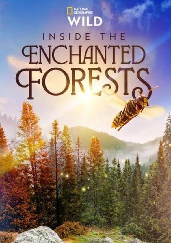 Inside the Enchanted Forests - Season 1 Inside the Enchanted Forests - Season 1