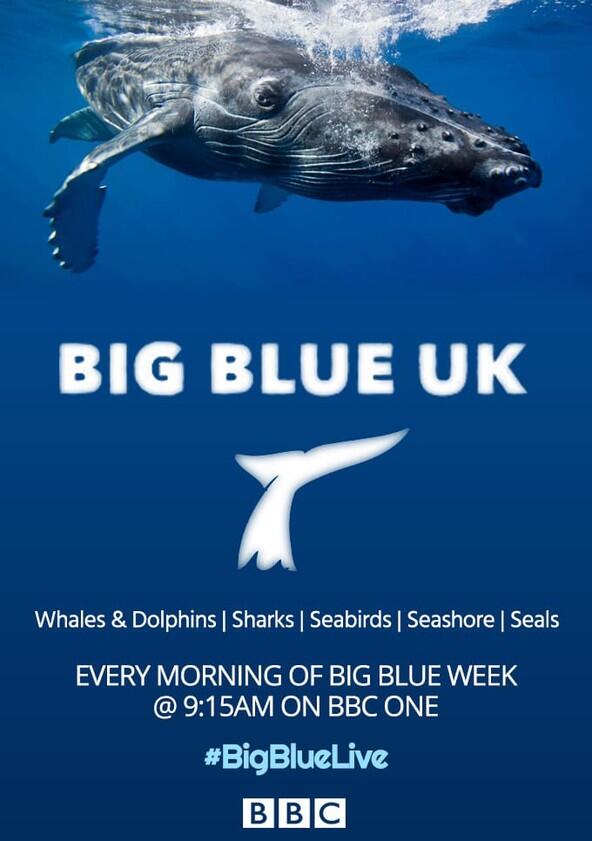 Big Blue UK - Season 1