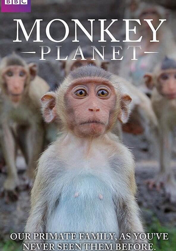 Monkey Planet - Season 1