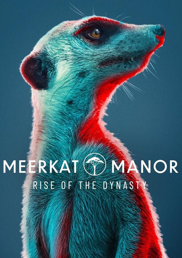 Meerkat Manor: Rise of the Dynasty - Season 1