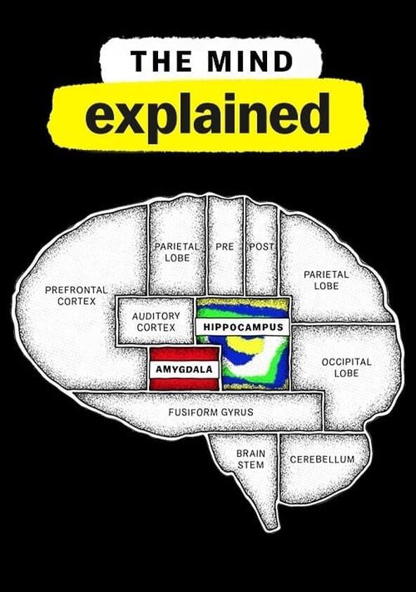 The Mind, Explained - Season 2