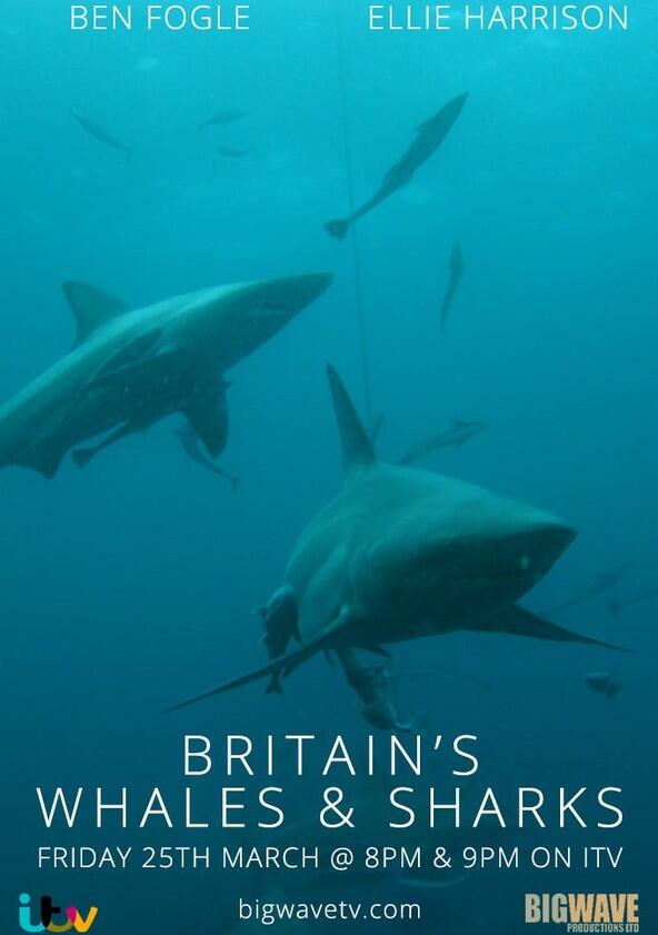 Britain's Whales and Sharks - Season 1