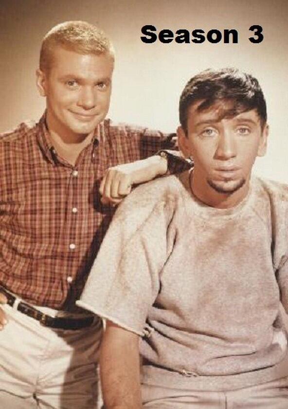 The Many Loves of Dobie Gillis - Season 3