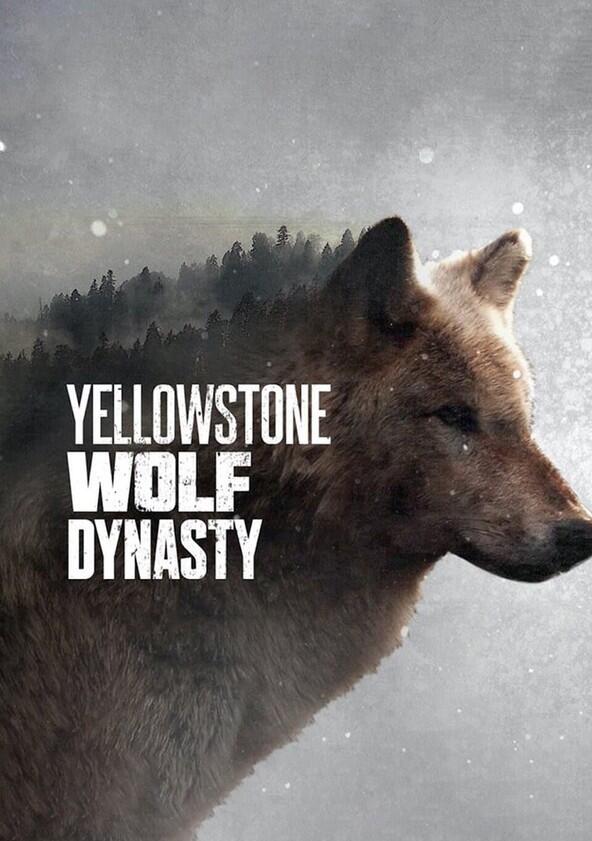 Yellowstone Wolf Dynasty - Season 1