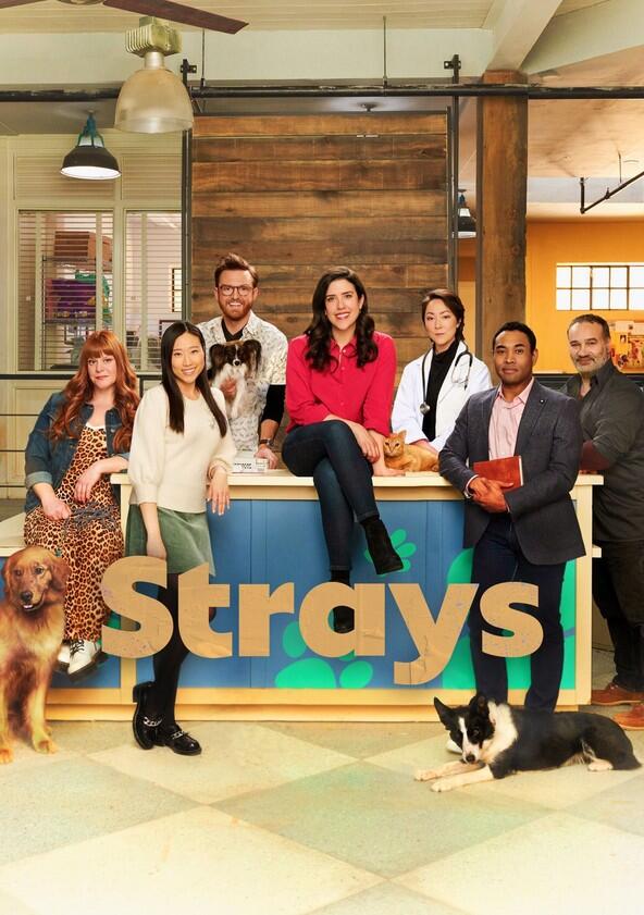 Strays - Season 2