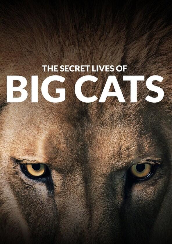 The Secret Lives of Big Cats - Season 1