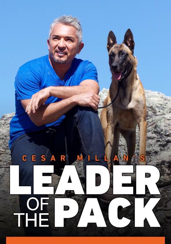 Cesar Millan's Leader of the Pack - Season 1