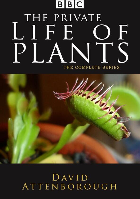 The Private Life of Plants - Season 1