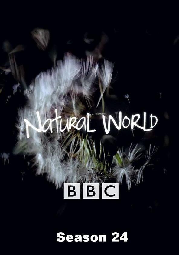 Natural World - Season 24