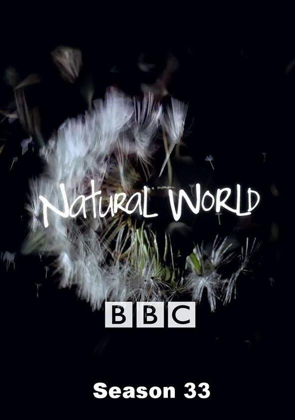 Natural World - Season 33