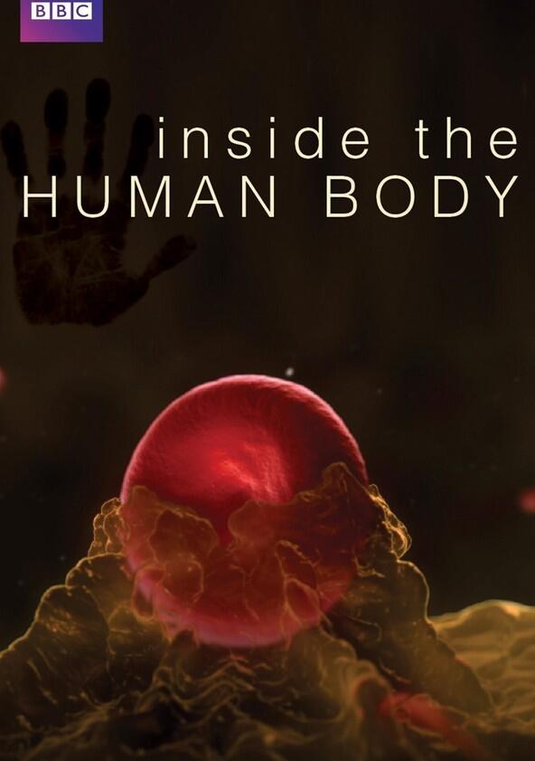 Inside the Human Body - Season 1