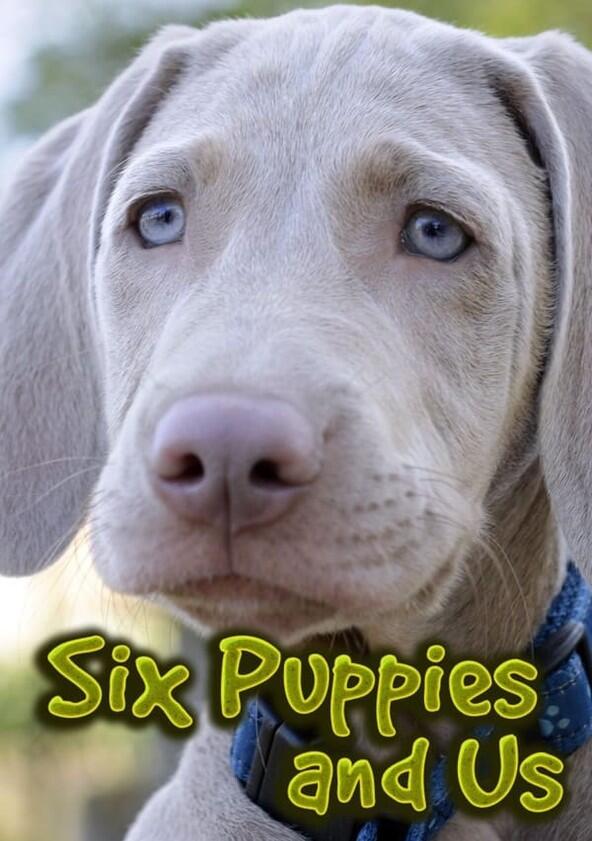 Six Puppies and Us - Season 1