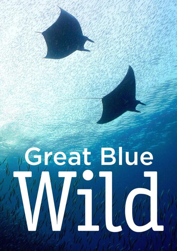 Great Blue Wild - Season 3