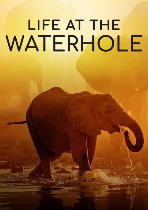 Life at the Waterhole - Season 1