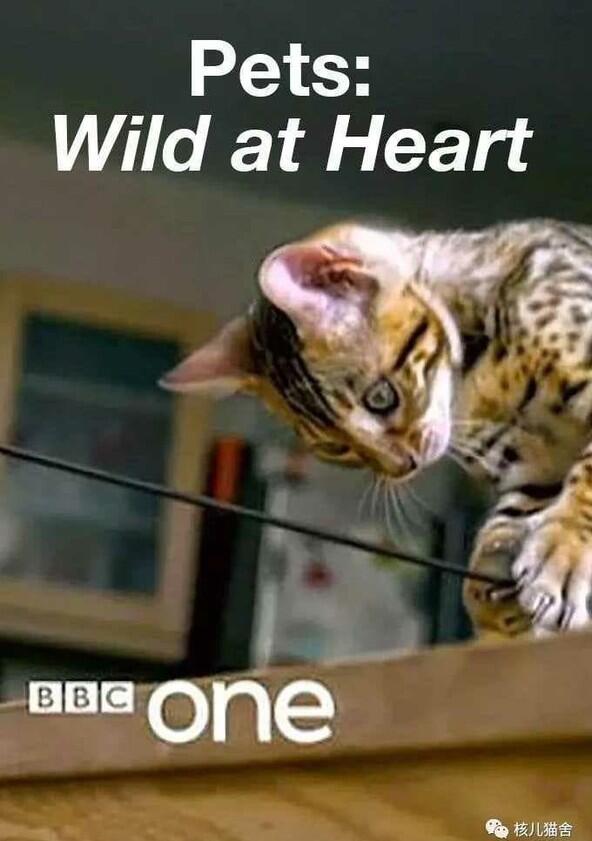 Pets - Wild at Heart - Season 1