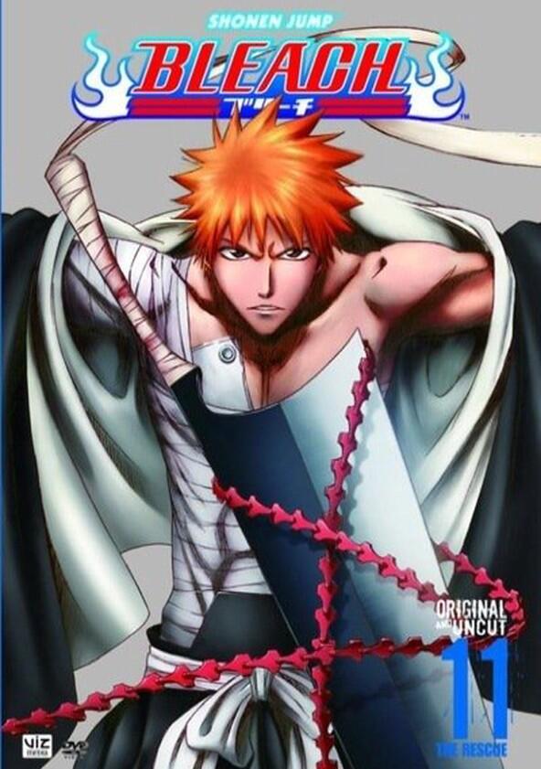 Bleach - Season 11