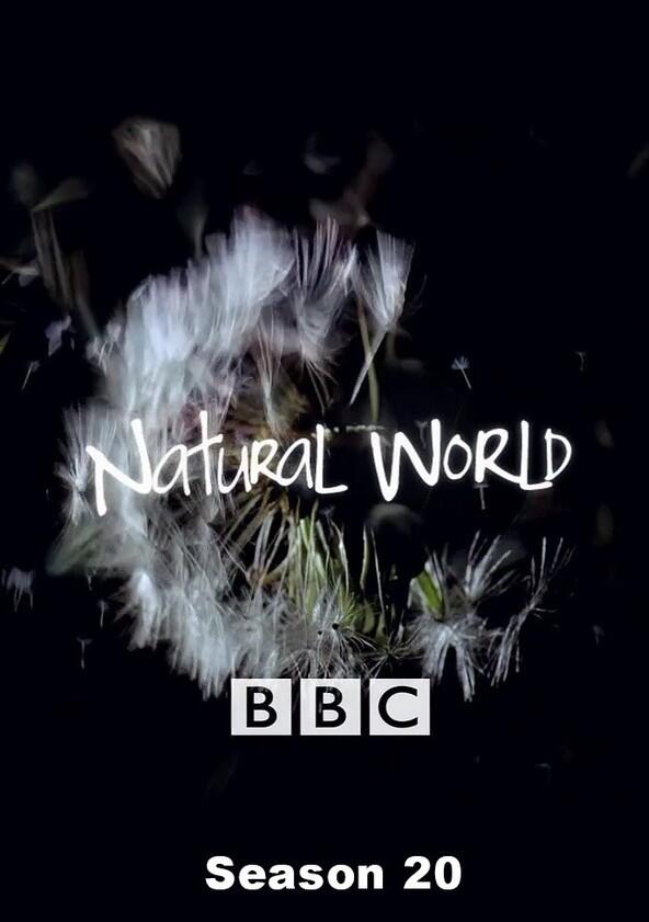 Natural World - Season 20