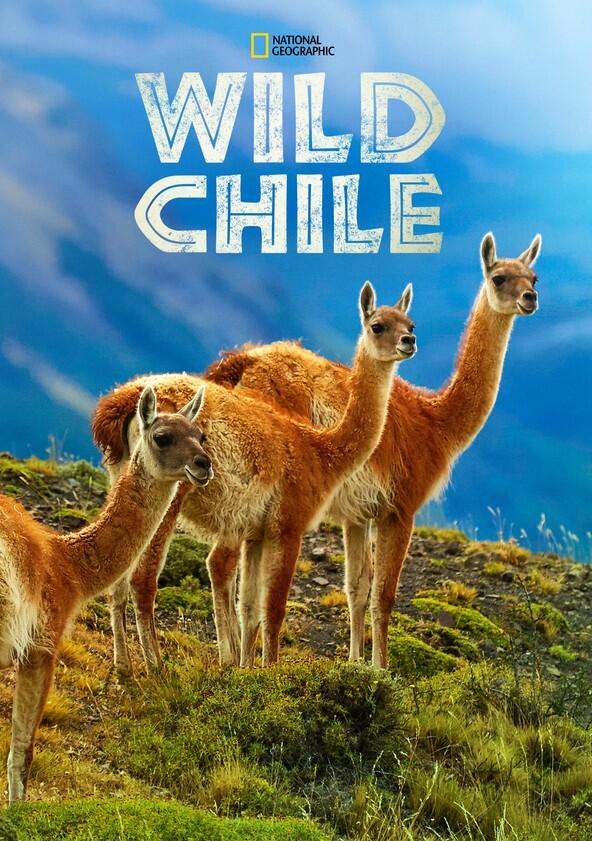 Wild Chile - Season 1