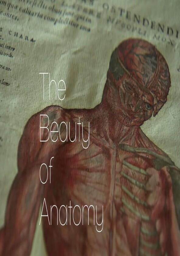 The Beauty of Anatomy - Season 1