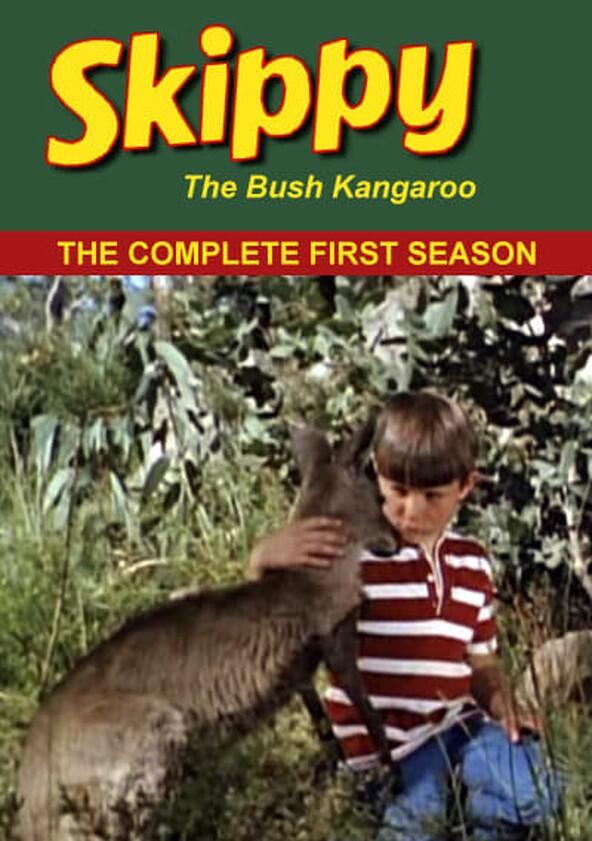 Skippy the Bush Kangaroo - Season 1