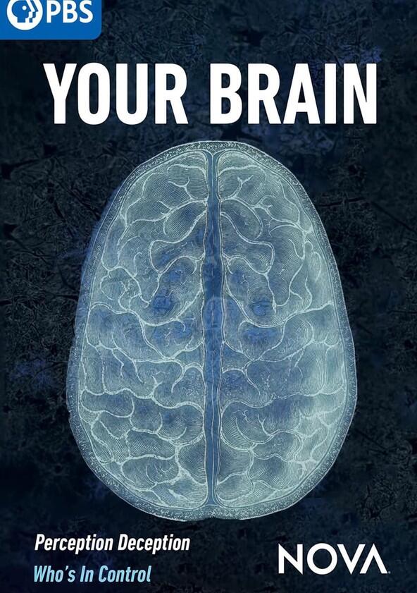 Your Brain - Season 1