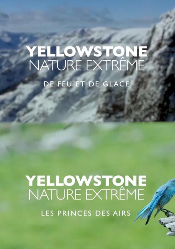 Epic Yellowstone - Season 1