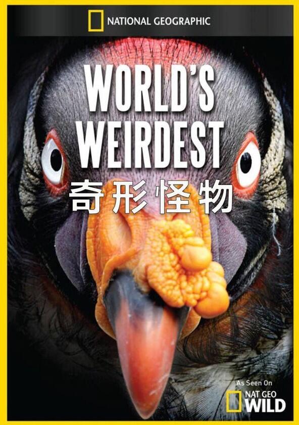 World's Weirdest - Season 1